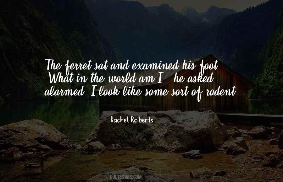 Rachel Roberts Quotes #937645