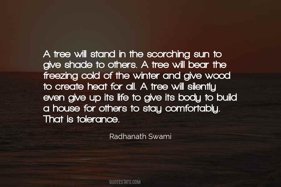 Radhanath Swami Quotes #949274