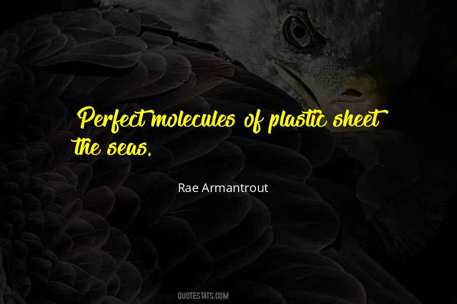 Rae Armantrout Quotes #958159