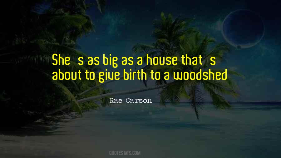 Rae Carson Quotes #1375466