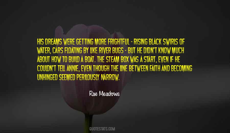 Rae Meadows Quotes #1728213
