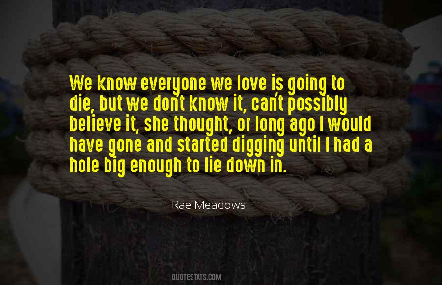 Rae Meadows Quotes #4663