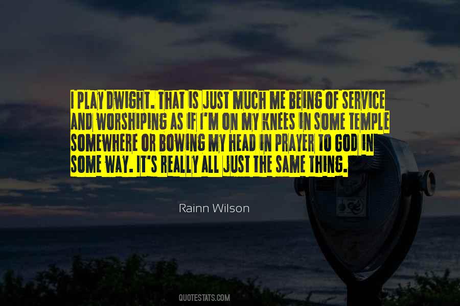 Rainn Wilson Quotes #224437