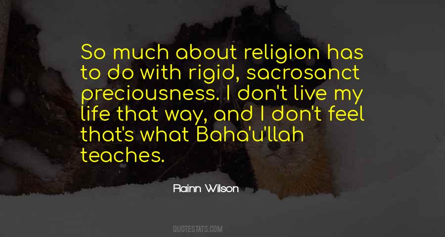 Rainn Wilson Quotes #817217