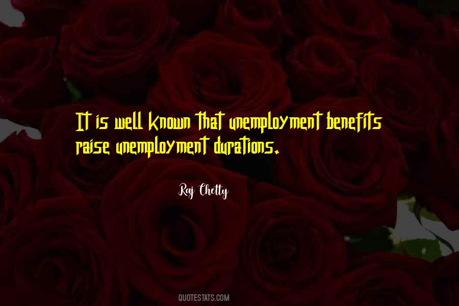 Raj Chetty Quotes #74459
