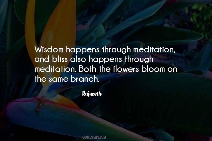 Rajneesh Quotes #217000
