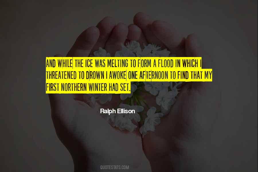Ralph Ellison Quotes #900525