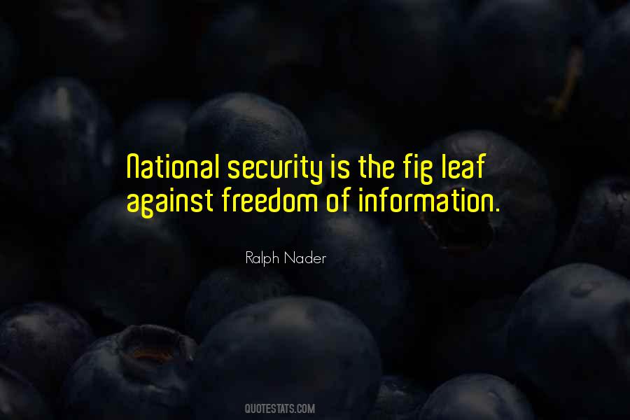 Ralph Nader Quotes #215342