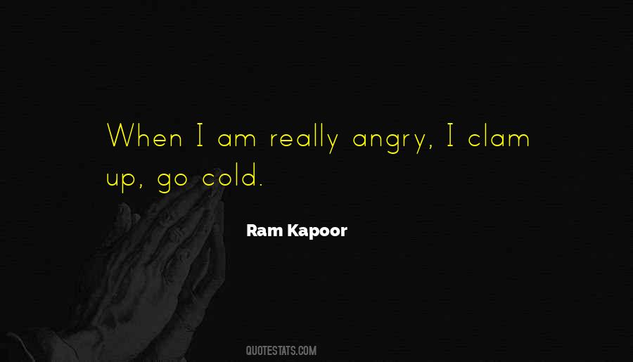 Ram Kapoor Quotes #103983