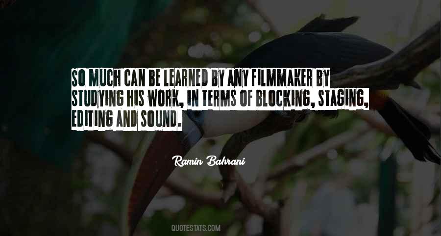 Ramin Bahrani Quotes #373270