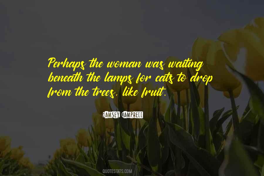 Ramsey Campbell Quotes #1574435
