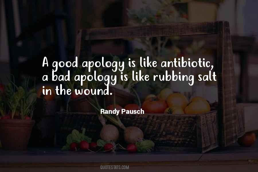 Randy Pausch Quotes #767198