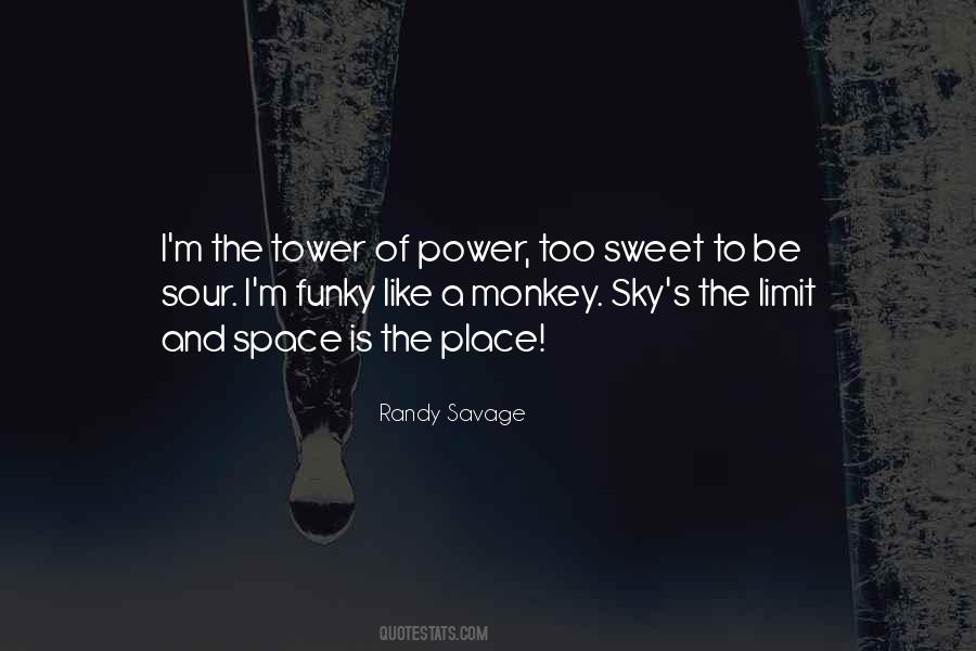 Randy Savage Quotes #696260