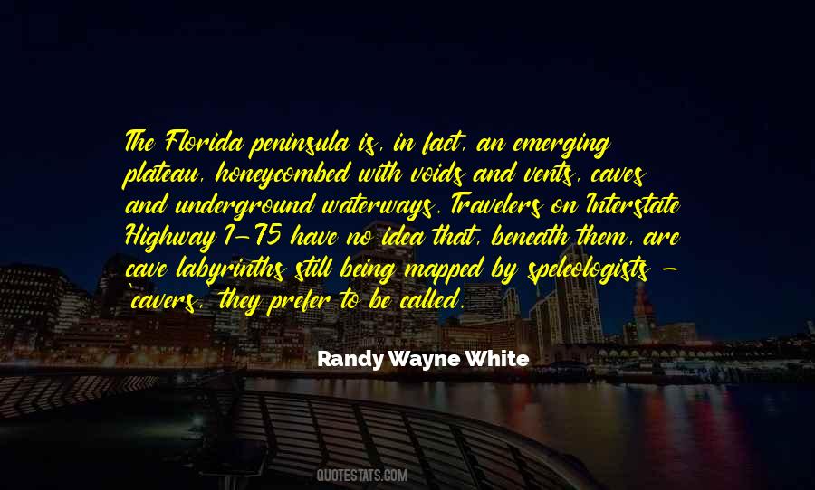 Randy Wayne White Quotes #1715026