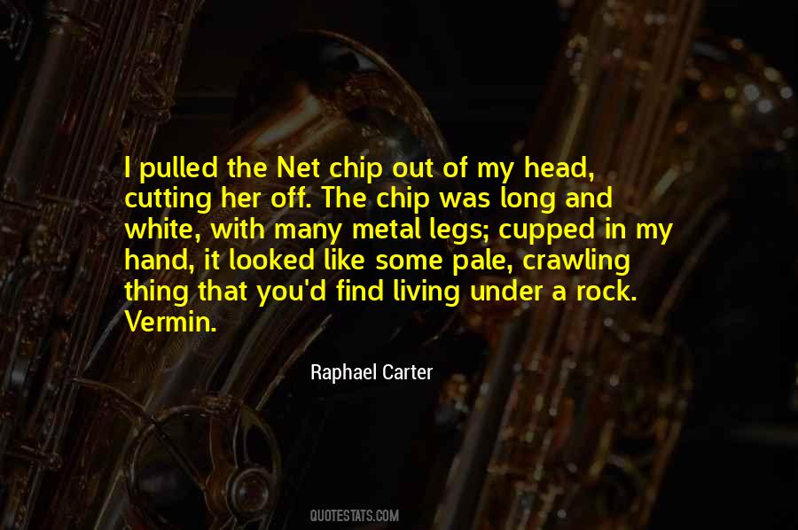 Raphael Carter Quotes #1046512