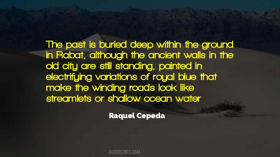 Raquel Cepeda Quotes #1104240