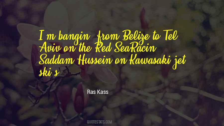 Ras Kass Quotes #1470247