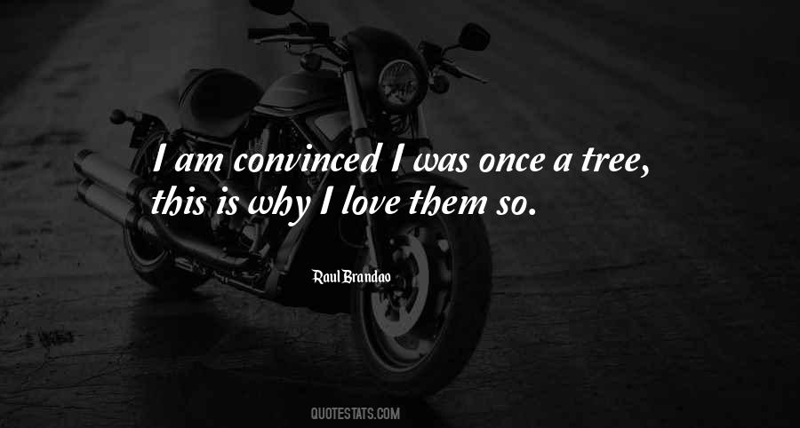 Raul Brandao Quotes #647174 Raul Brandao Quotes #647174