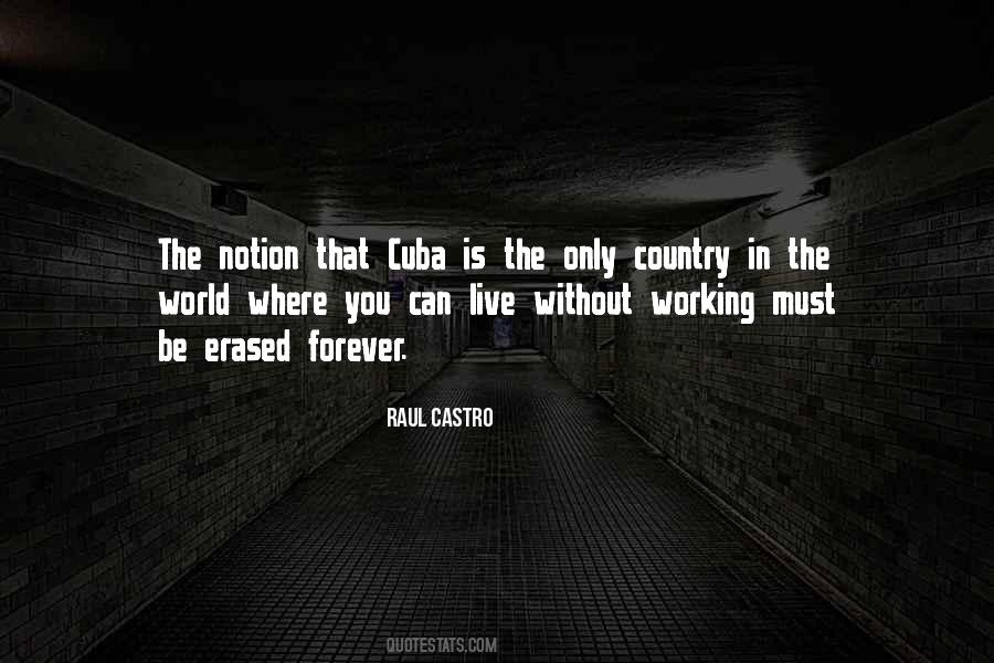 Raul Castro Quotes #1453566