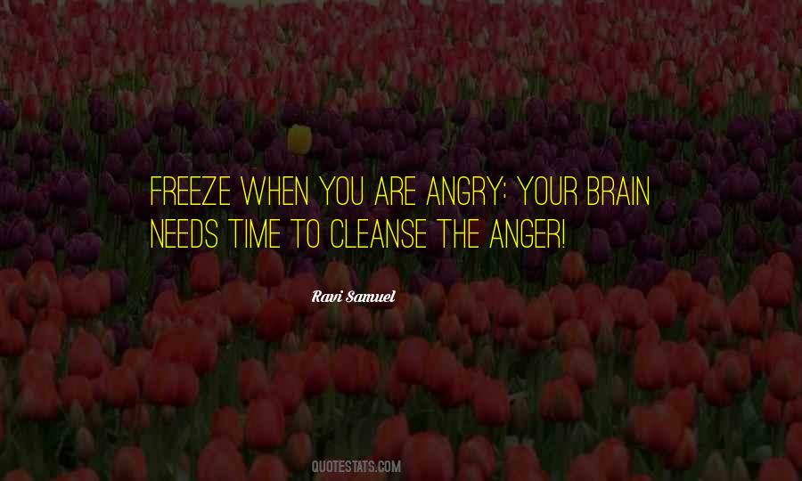 Ravi Samuel Quotes #378602