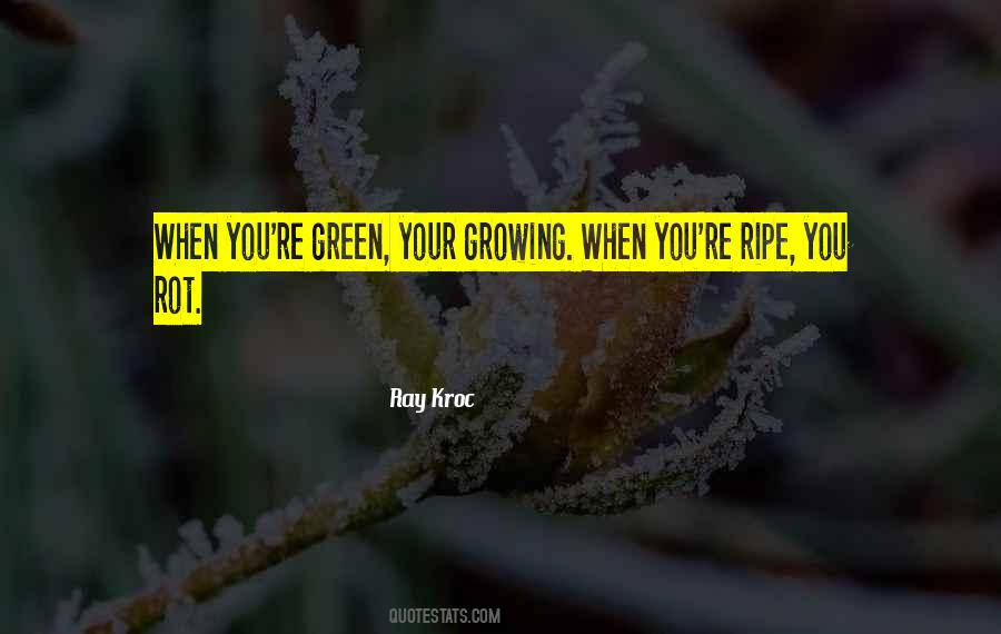 Ray Kroc Quotes #750211