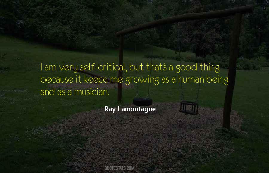 Ray Lamontagne Quotes #1240185