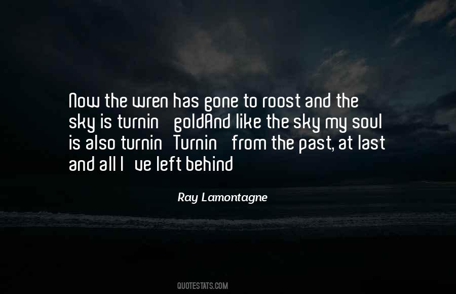 Ray Lamontagne Quotes #679022