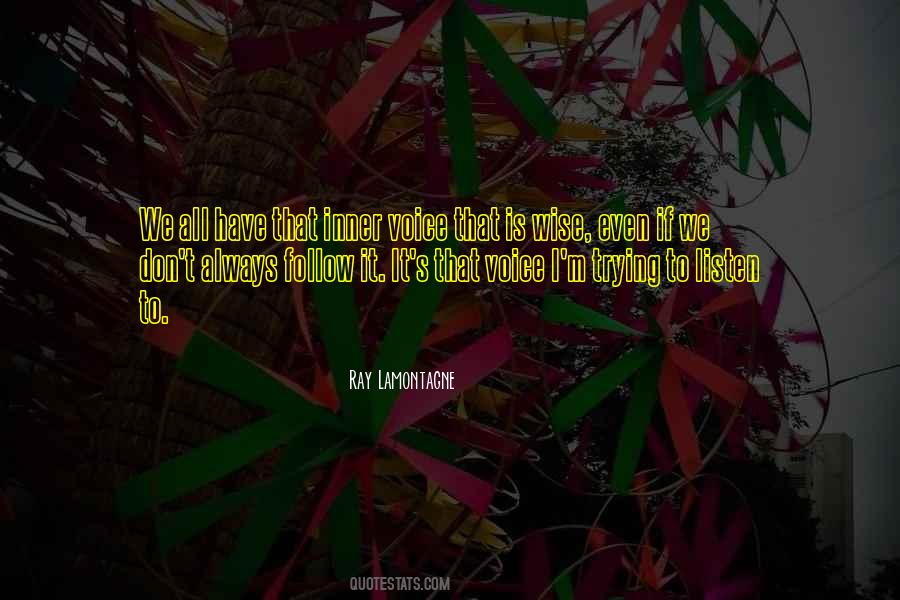 Ray Lamontagne Quotes #943893
