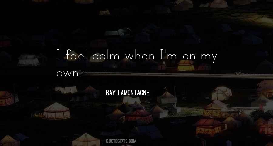 Ray Lamontagne Quotes #989854