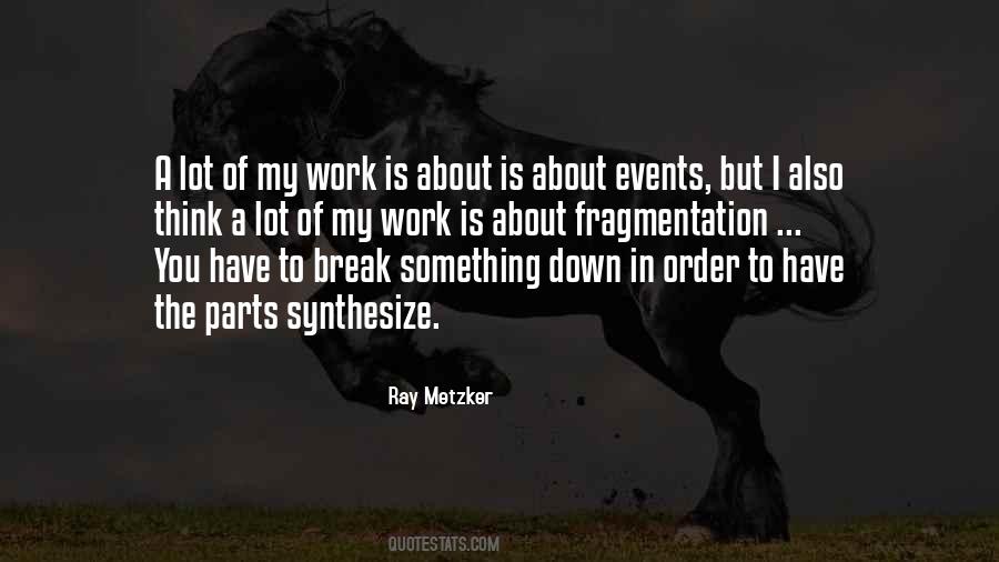 Ray Metzker Quotes #820448