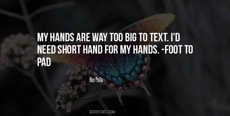Ray Palla Quotes #342603