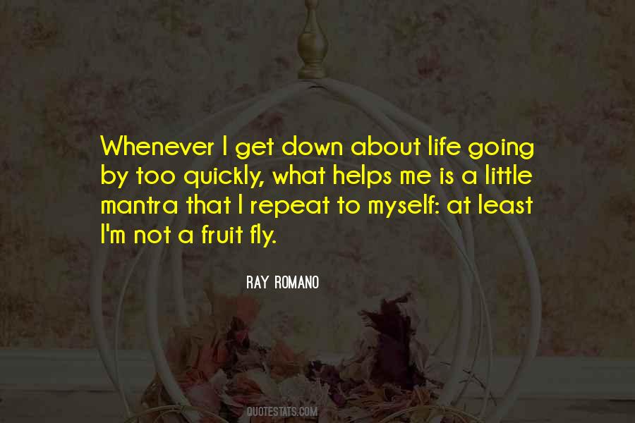 Ray Romano Quotes #1720276