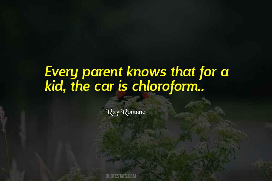 Ray Romano Quotes #236968