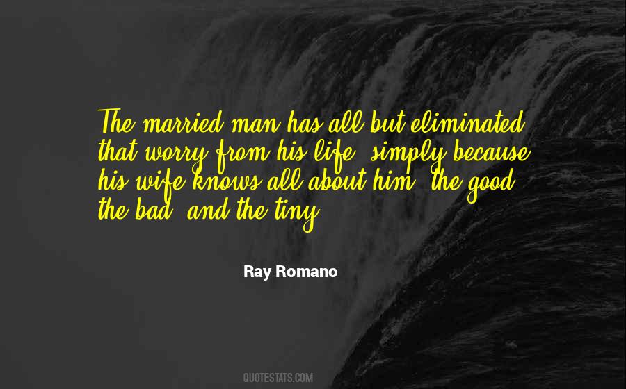 Ray Romano Quotes #889940