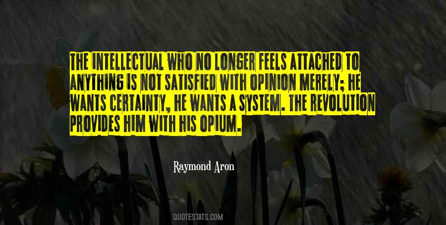 Raymond Aron Quotes #461656