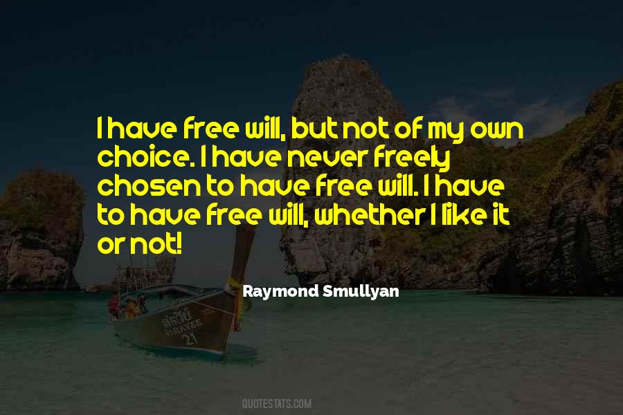 Raymond Smullyan Quotes #329761