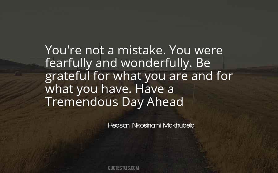 Reason Nkosinathi Makhubela Quotes #950096 Reason Nkosinathi Makhubela Quotes #950096