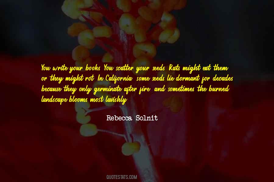 Rebecca Solnit Quotes #562302