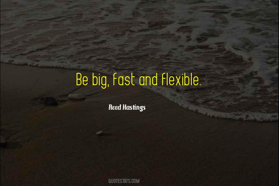 Reed Hastings Quotes #406682