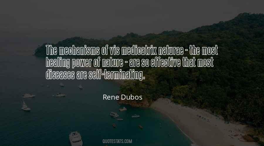 Rene Dubos Quotes #969556