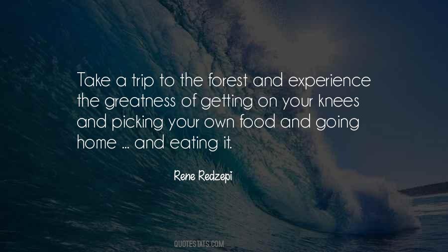 Rene Redzepi Quotes #350860