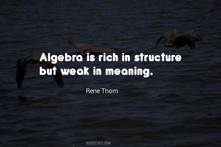 Rene Thom Quotes #268579