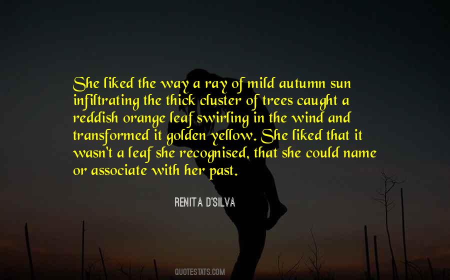 Renita D'Silva Quotes #723756