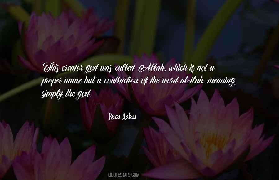 Reza Aslan Quotes #745459