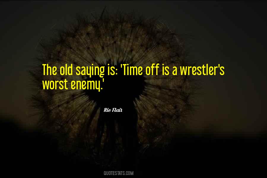 Ric Flair Quotes #126909