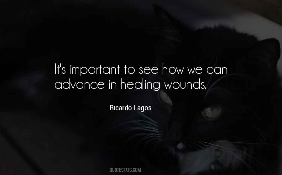 Ricardo Lagos Quotes #273270
