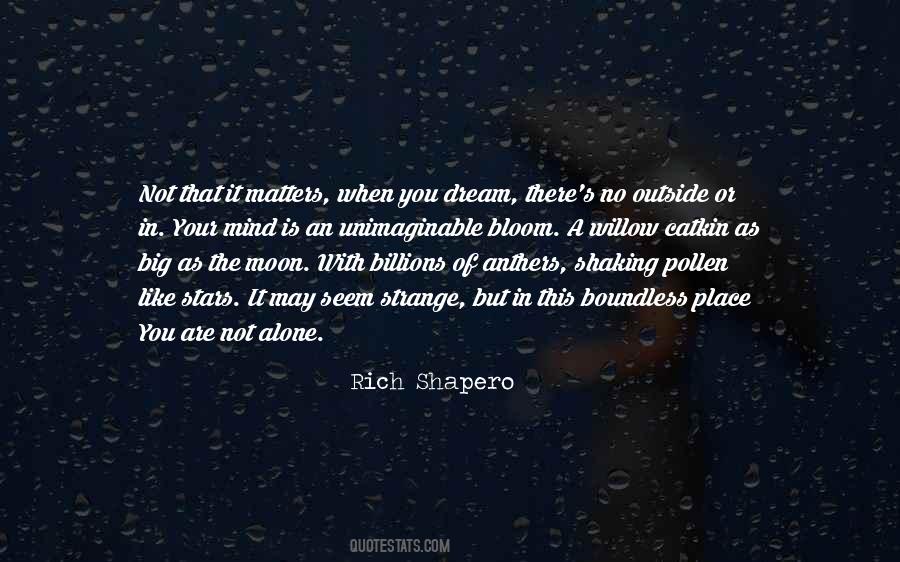 Rich Shapero Quotes #1293431
