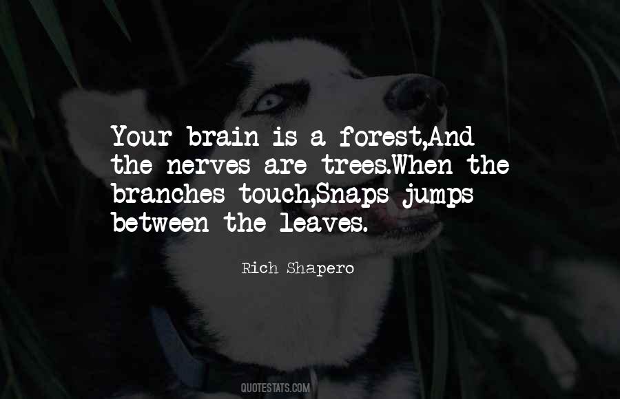 Rich Shapero Quotes #985043