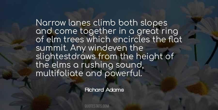 Richard Adams Quotes #753624