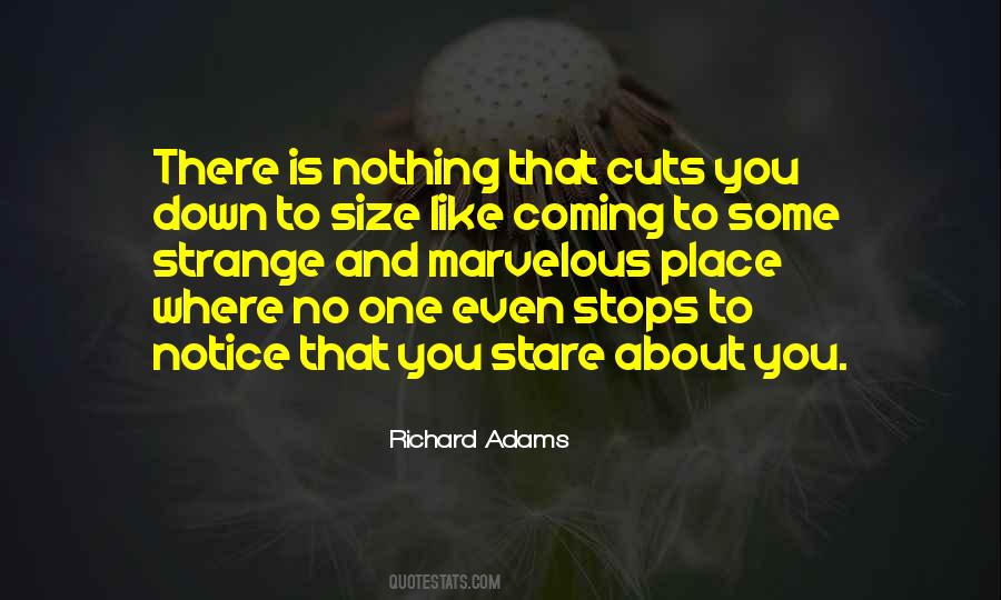 Richard Adams Quotes #84841